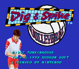 Dig and Spike Volleyball screenshot 2 for Super Nintendo